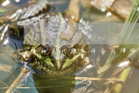 青神县代理装修合同律师 青神县代理装修合同律师