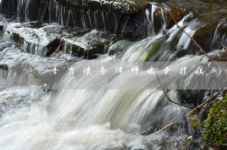 青秀债务律师收费标准 青秀债务律师收费标准