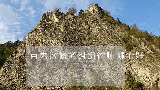 青秀区债务纠纷律师哪个好 青秀区债务纠纷律师哪个好
