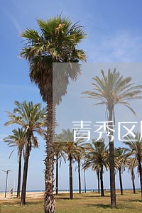 青秀区股权专业律师联系方式 青秀区股权专业律师联系方式