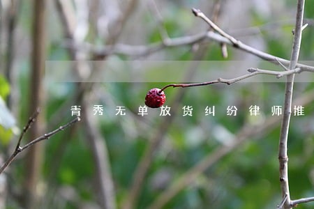 青秀无单放货纠纷律师推荐