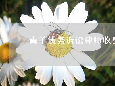 青羊债务诉讼律师收费 青羊债务诉讼律师收费