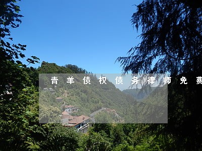 青羊债权债务律师免费咨询 青羊债权债务律师免费咨询