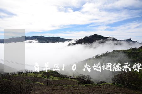 青羊区10大婚姻继承律师