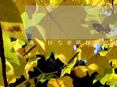 青羊区专业债权债务律师 青羊区专业债权债务律师