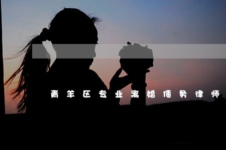 青羊区专业离婚债务律师 青羊区专业离婚债务律师