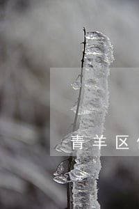 青羊区债务律师多少钱 青羊区债务律师多少钱