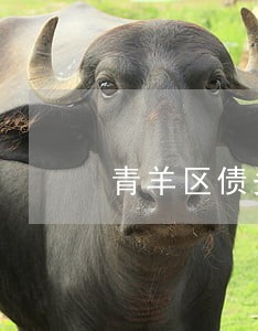 青羊区债务担保律师预约咨询 青羊区债务担保律师预约咨询