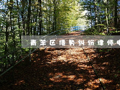 青羊区债务纠纷律师电话咨询 青羊区债务纠纷律师电话咨询