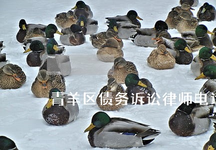 青羊区债务诉讼律师电话咨询 青羊区债务诉讼律师电话咨询