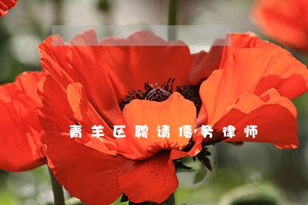 青羊区聘请债务律师 青羊区聘请债务律师