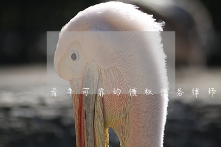 青羊可靠的债权债务律师费用 青羊可靠的债权债务律师费用