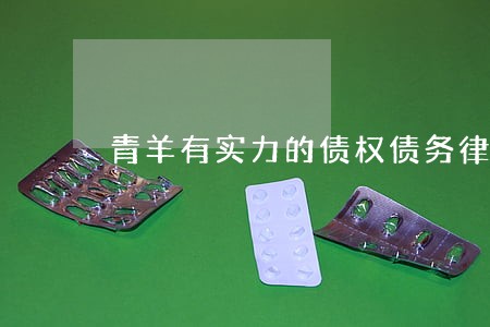 青羊有实力的债权债务律师事务所 青羊有实力的债权债务律师事务所