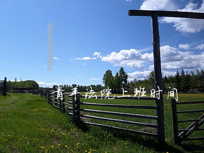 青羊法院上班时间 青羊法院上班时间