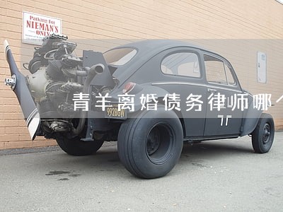 青羊离婚债务律师哪个好 青羊离婚债务律师哪个好