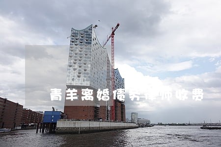 青羊离婚债务律师收费 青羊离婚债务律师收费