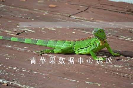青苹果数据中心诉讼