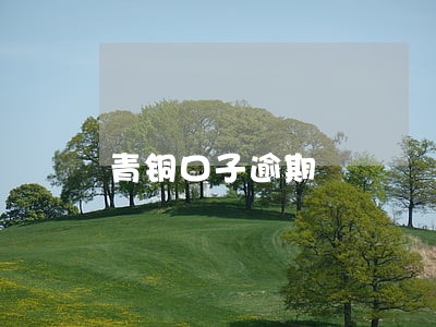 青铜口子逾期 青铜口子逾期