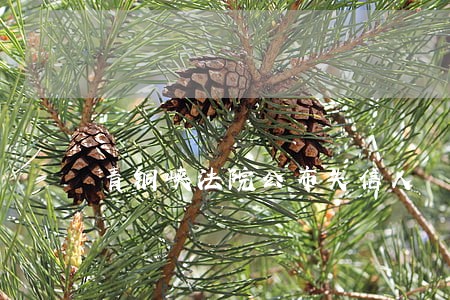 青铜峡法院公布失信人 青铜峡法院公布失信人