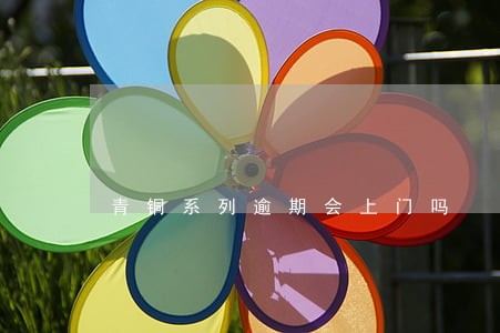 青铜系列逾期会上门吗 青铜系列逾期会上门吗