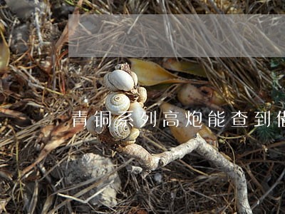 青铜系列高炮能查到借条逾期吗