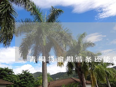 青铜贷逾期借条还能做吗 青铜贷逾期借条还能做吗