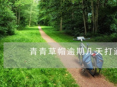 青青草帽逾期几天打通讯录 青青草帽逾期几天打通讯录