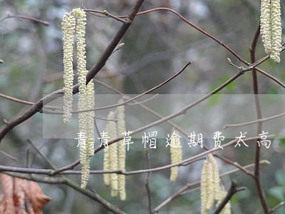 青青草帽逾期费太高 青青草帽逾期费太高