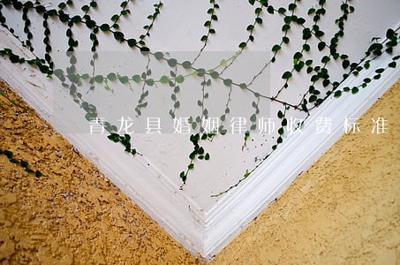 青龙县婚姻律师收费标准 青龙县婚姻律师收费标准
