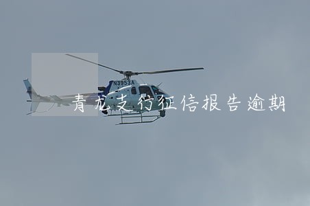 青龙支行征信报告逾期 青龙支行征信报告逾期