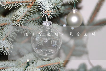 靓号贷逾期一天会怎样 靓号贷逾期一天会怎样