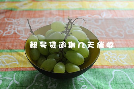 靓号贷逾期几天催收 靓号贷逾期几天催收