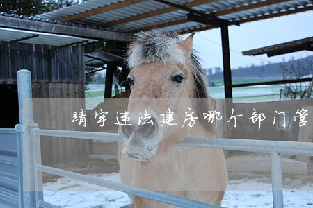 靖宇违法建房哪个部门管 靖宇违法建房哪个部门管