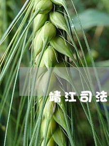靖江司法拍卖上海城 靖江司法拍卖上海城