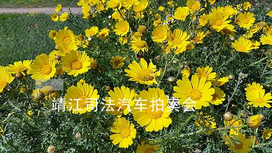 靖江司法汽车拍卖会