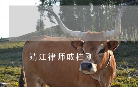 靖江律师戚桂刚 靖江律师戚桂刚