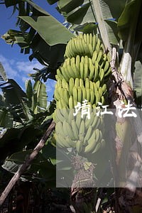 靖江法制宣传栏怎么设计 靖江法制宣传栏怎么设计