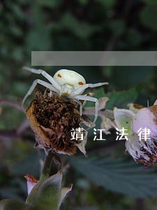 靖江法律援助中心管用吗 靖江法律援助中心管用吗
