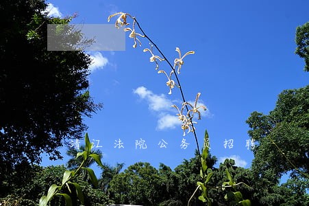 靖江法院公务员招聘 靖江法院公务员招聘