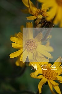 靖江生祠法院电话