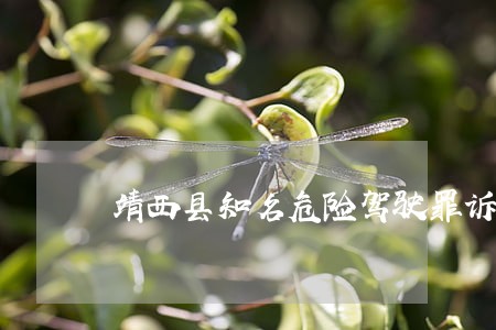 靖西县知名危险驾驶罪诉讼律师 靖西县知名危险驾驶罪诉讼律师