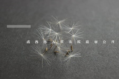 靖西市人民法院庭审公开网