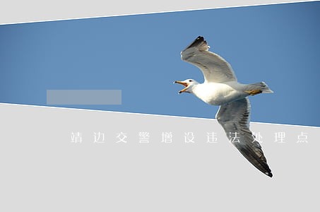 靖边交警增设违法处理点 靖边交警增设违法处理点