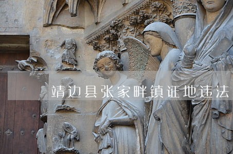 靖边县张家畔镇证地违法