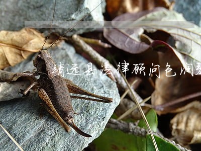 靖远县法律顾问包润琴 靖远县法律顾问包润琴