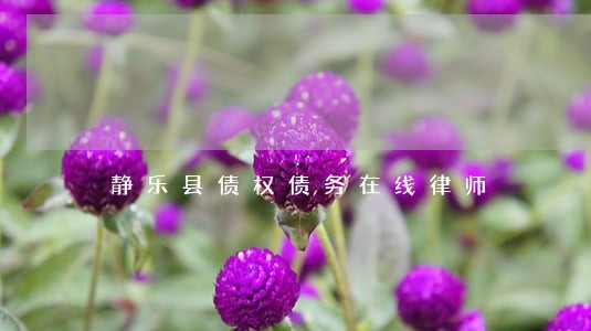 静乐县债权债务在线律师 静乐县债权债务在线律师