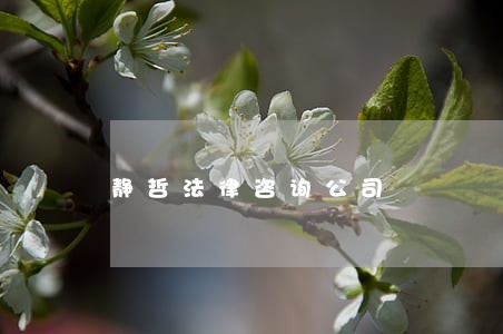 静哲法律咨询公司 静哲法律咨询公司