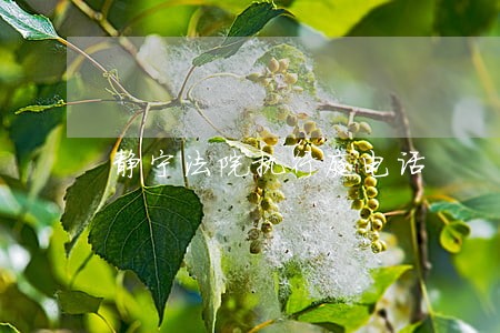 静宁法院执行庭电话 静宁法院执行庭电话