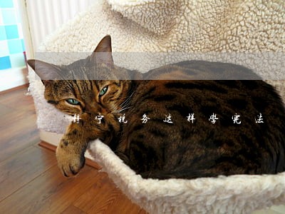 静宁税务这样学宪法 静宁税务这样学宪法