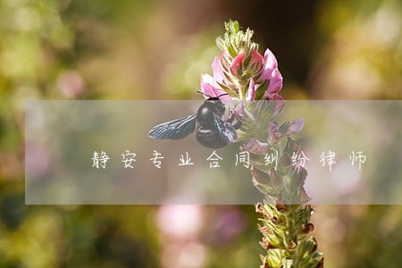 静安专业合同纠纷律师 静安专业合同纠纷律师